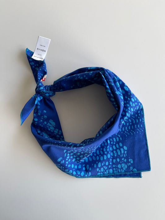 Bandana Bluebelle